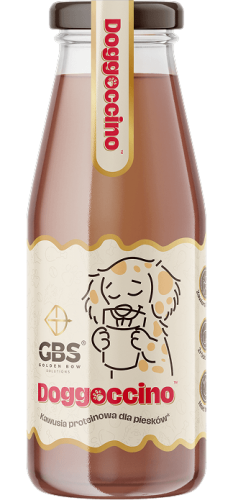 doggoccino_przod_1.png